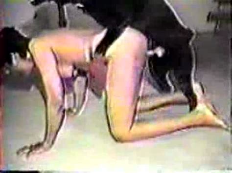 Aninmal fucking stories