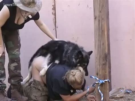 Download Submissive MILF fucked by dog from luxuretv.com